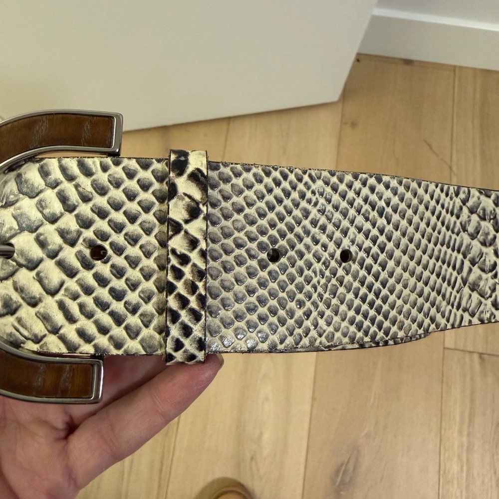 Banana Republic Snakeskin Belt with Brown Wood look and Silver Buckle - Picture 13 of 14